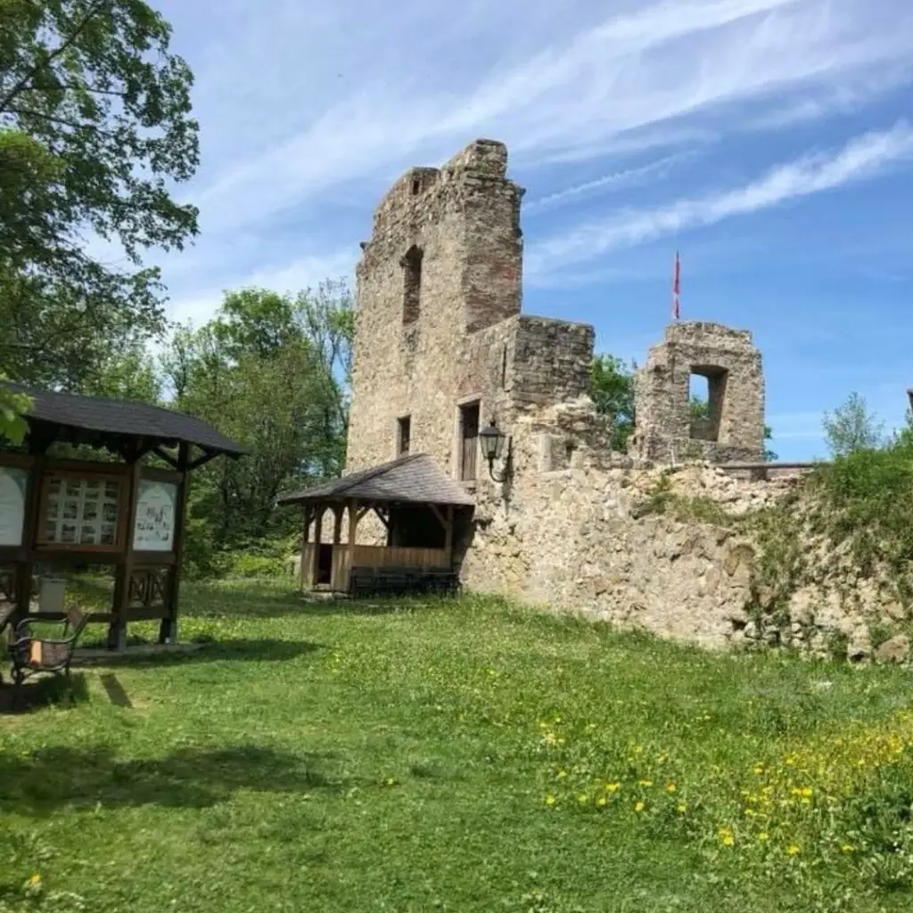 Burgruine Seisenburg Pettenbach
